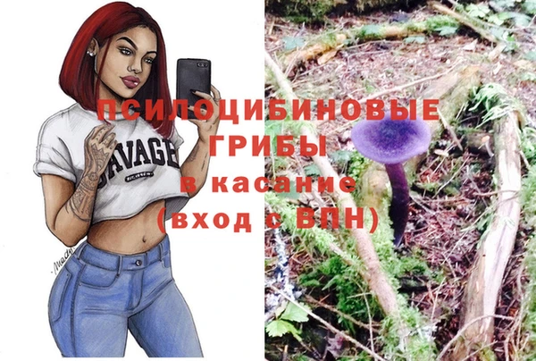 гидра Балахна