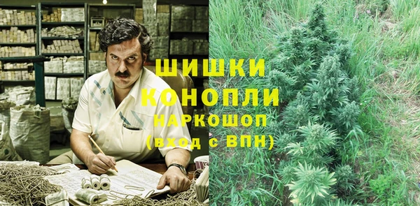 гидра Балахна