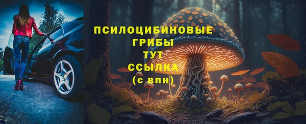 гидра Балахна