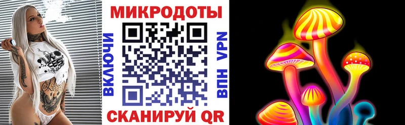 Псилоцибиновые грибы прущие грибы Горячий Ключ